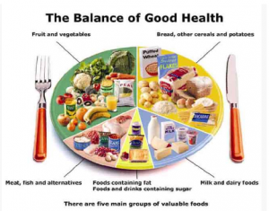 Portion Size Plate